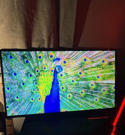 INSIGNIA™ LED TV I Televisión de color LED model