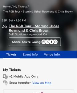 Usher and Chris Brown Concert