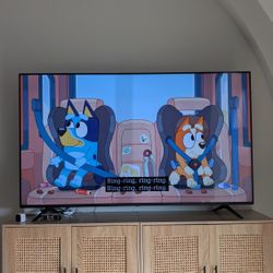 65" LG LED TV