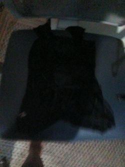 Iingerie