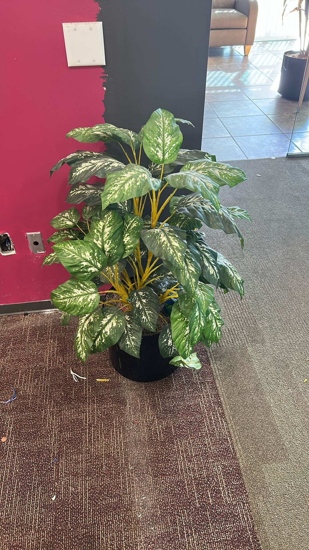 Selling Fake Plants+Pots