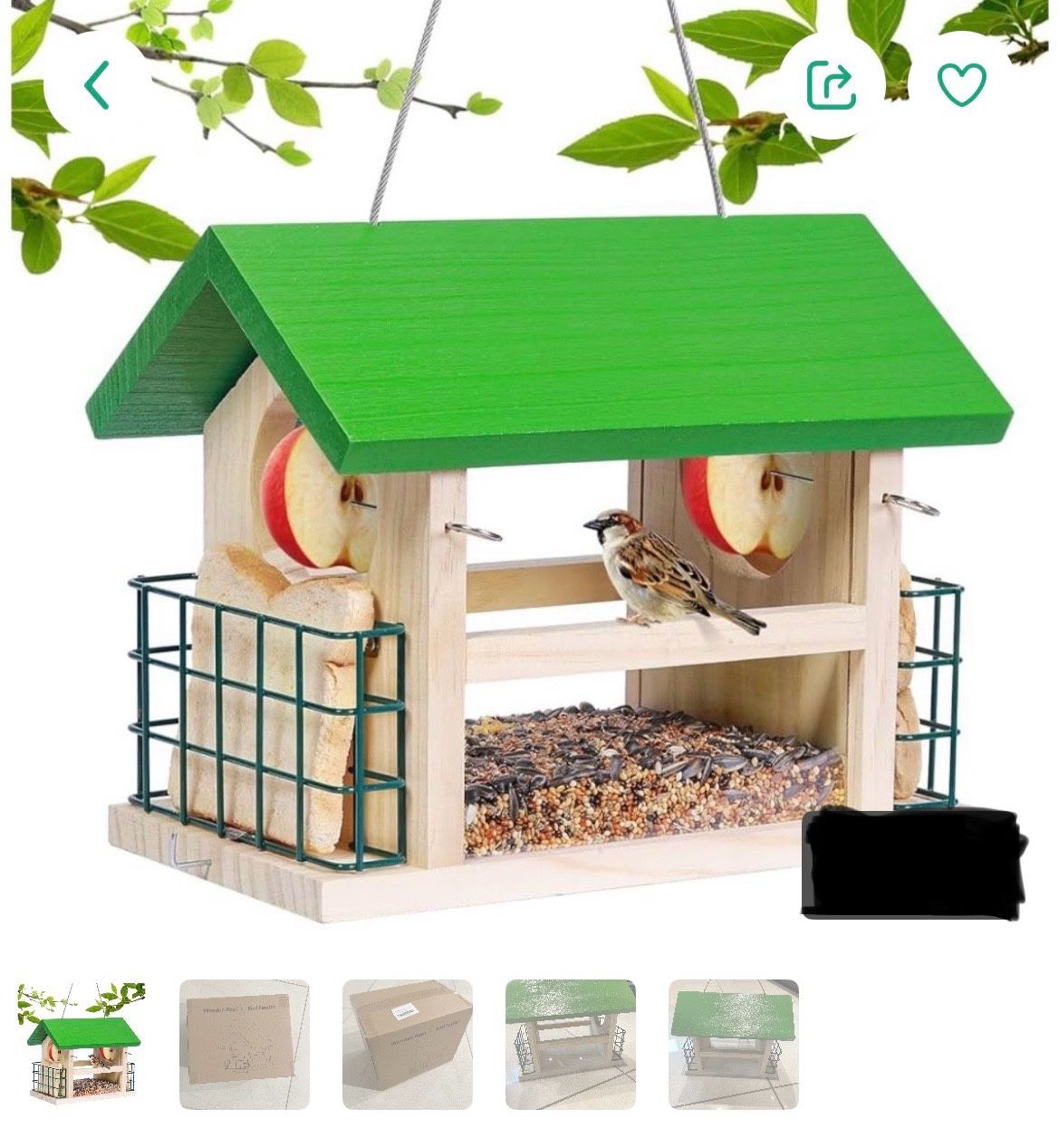 Bird Feeder