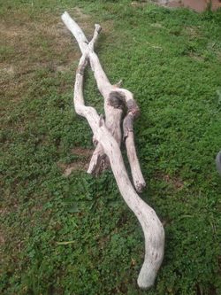 Genuine Driftwood For Aquariums Terrariums Decor
