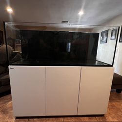 Aquarium 