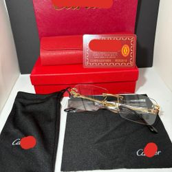 Carti Sunglasses - Photochronic 