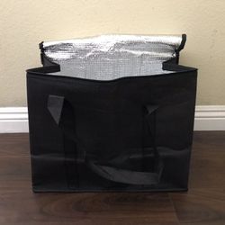 Insulated Food Bag - large 