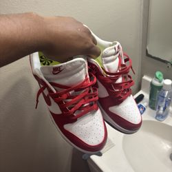 Nike Dunk Lows