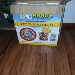 Egg Incubator