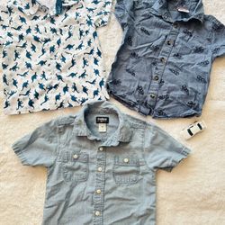 Boy Button-Up Shirts 