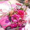Divva Rose