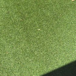 8.5x17 AstroTurf 