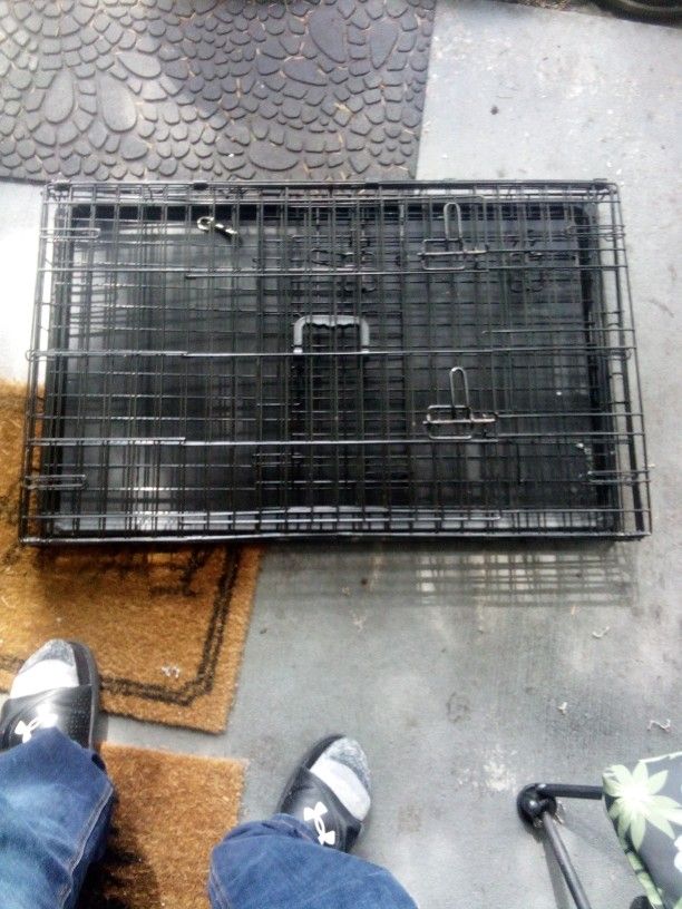 Kennel