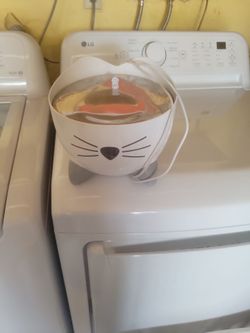 Cat fountain