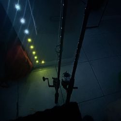 fishing rods