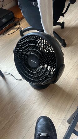 Fan