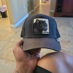 Hat 