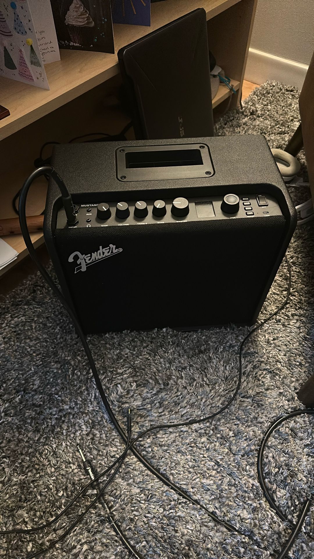 Fender Mustang LT250 Amplifier