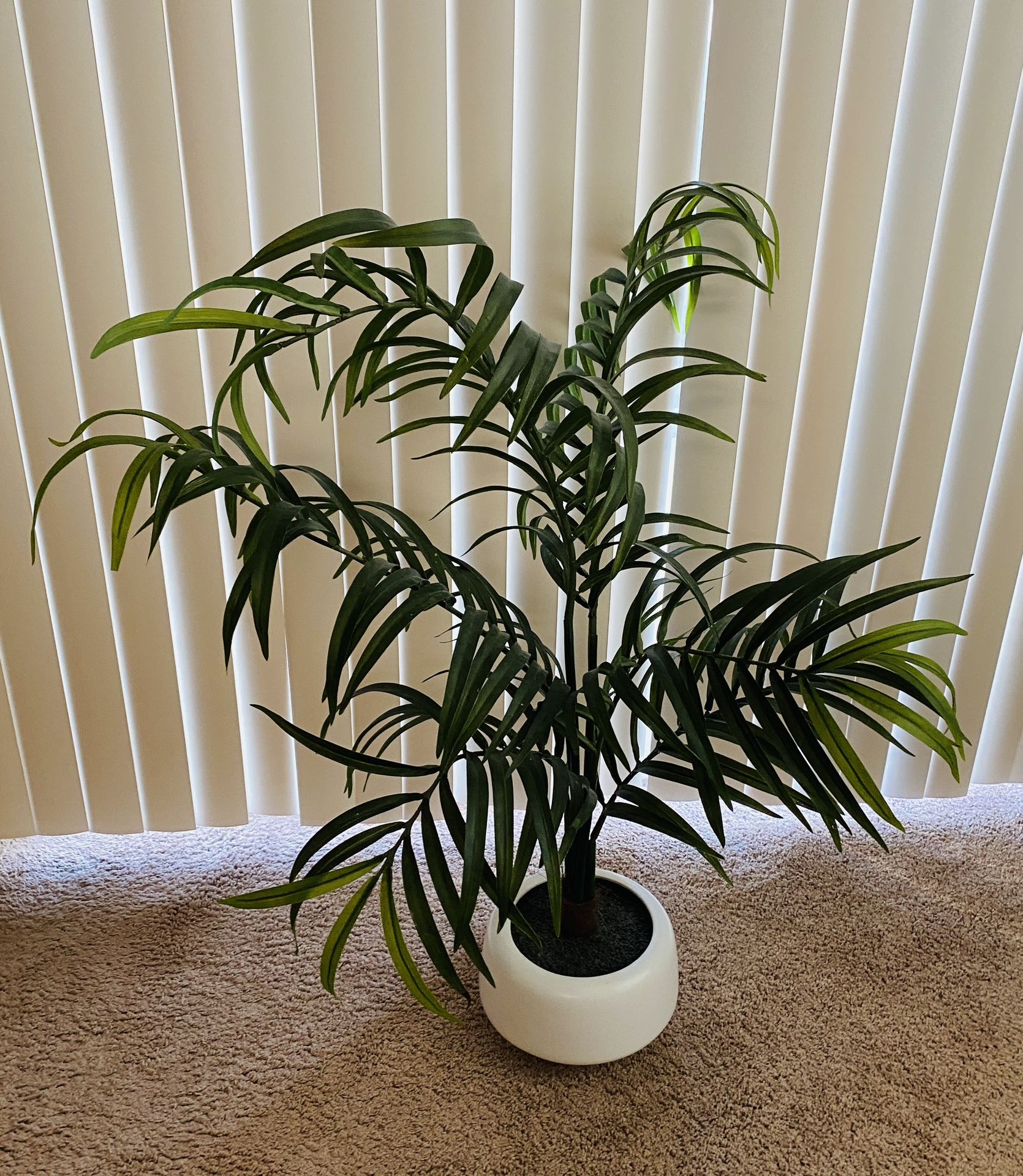 Fake Decorative Plant 