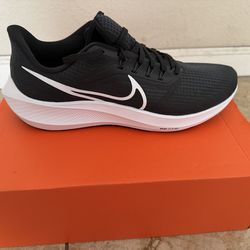 Nike Pegasus 39