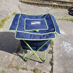 Seahawks Party Cooler!
