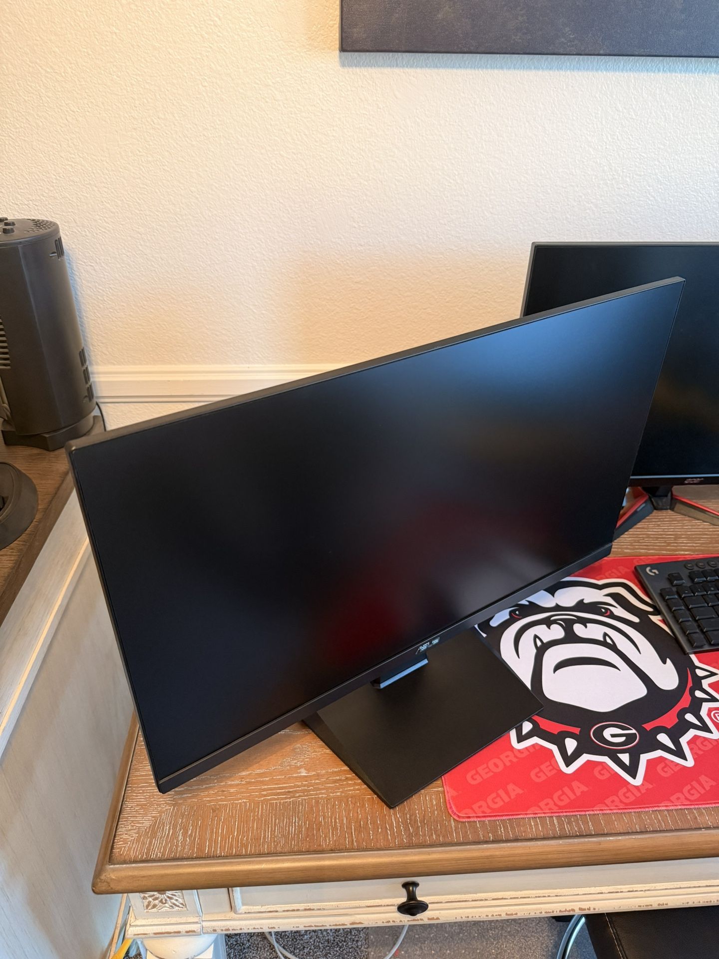 Asus Gaming Monitor