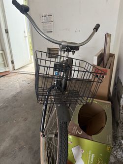 Schwinn beach cruiser