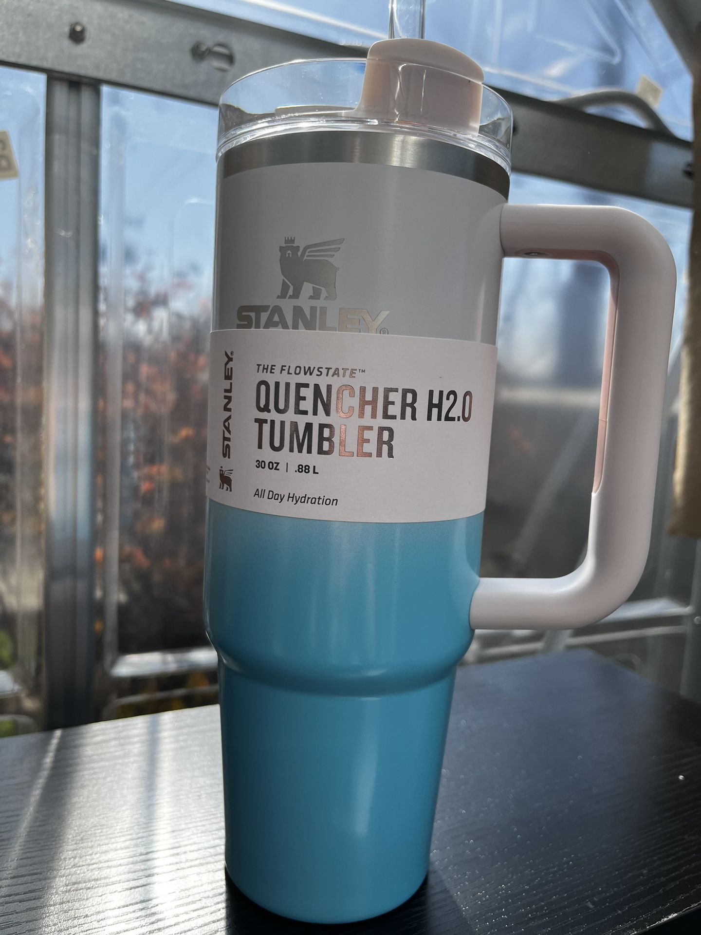 Stanley Quencher H2.0 Pool Tumbler New color in 2023