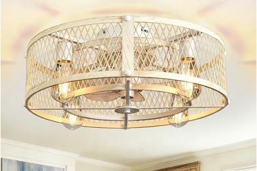 Depuley Flush Mount Ceiling Fan: 20" Caged Ceiling Fans with Lights and Remote Control for Kitchen Bedroom Farmhouse - Rustic Low Profile Ceiling Fand