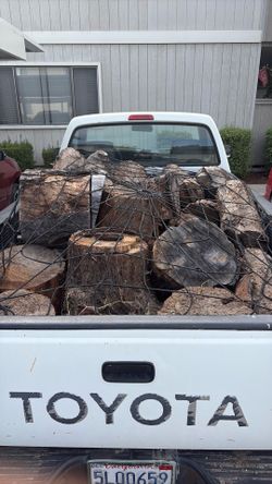 Dry logs of pine wood
