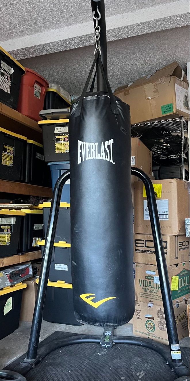 Everlast Punching Bag And Stand