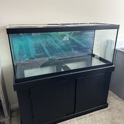 75 Gallon aquarium / Fish Tank + Stand 