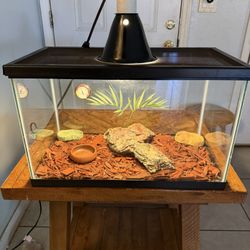 Reptile/Terrarium/Aquarium 10 Gallons With Set Up ( No Animals Included ) (have More Tanks Available) *** Great Condition ***