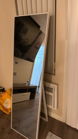 65” x 19” Mirror