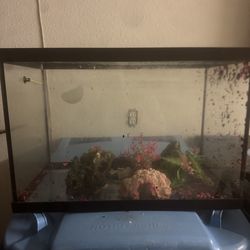 20 gallon fish tank
