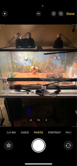 **USED** Zoo Med Double Door Naturalistic Terrarium