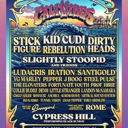 Calivibes Sunday GA 125.00