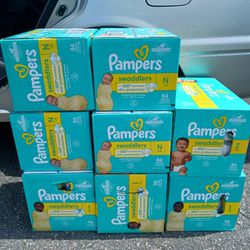 15 Dollar Box's Of Pamper Diapers