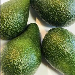 Organic Avocados 