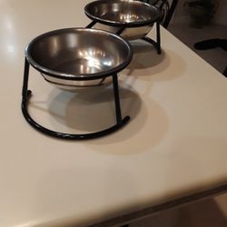 Dog Bowls In Weeki Wachee Spring Hill