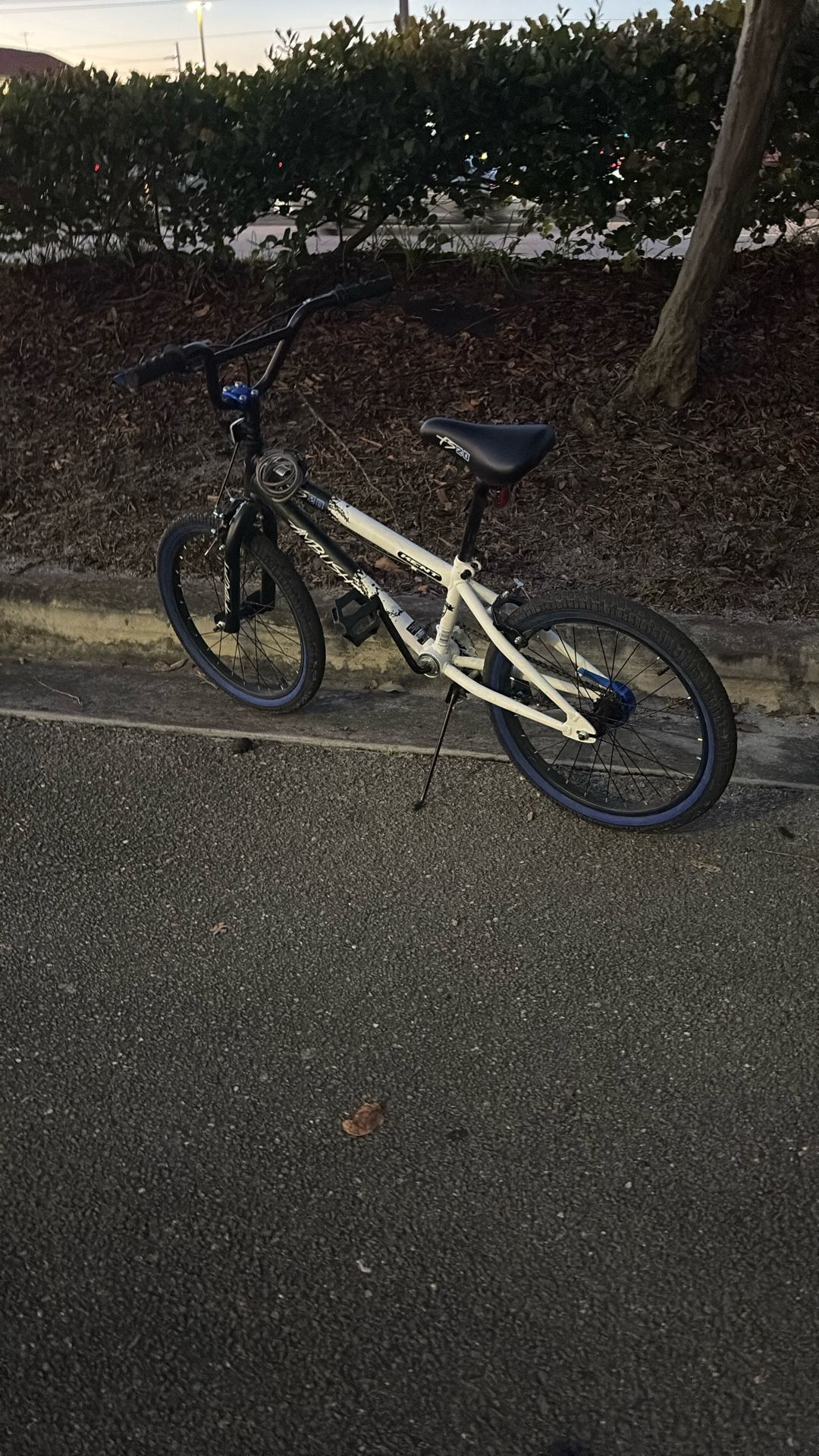 BMX Bike (THROW ME OFFERS)