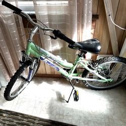 20 INCH GIRLS BIKE