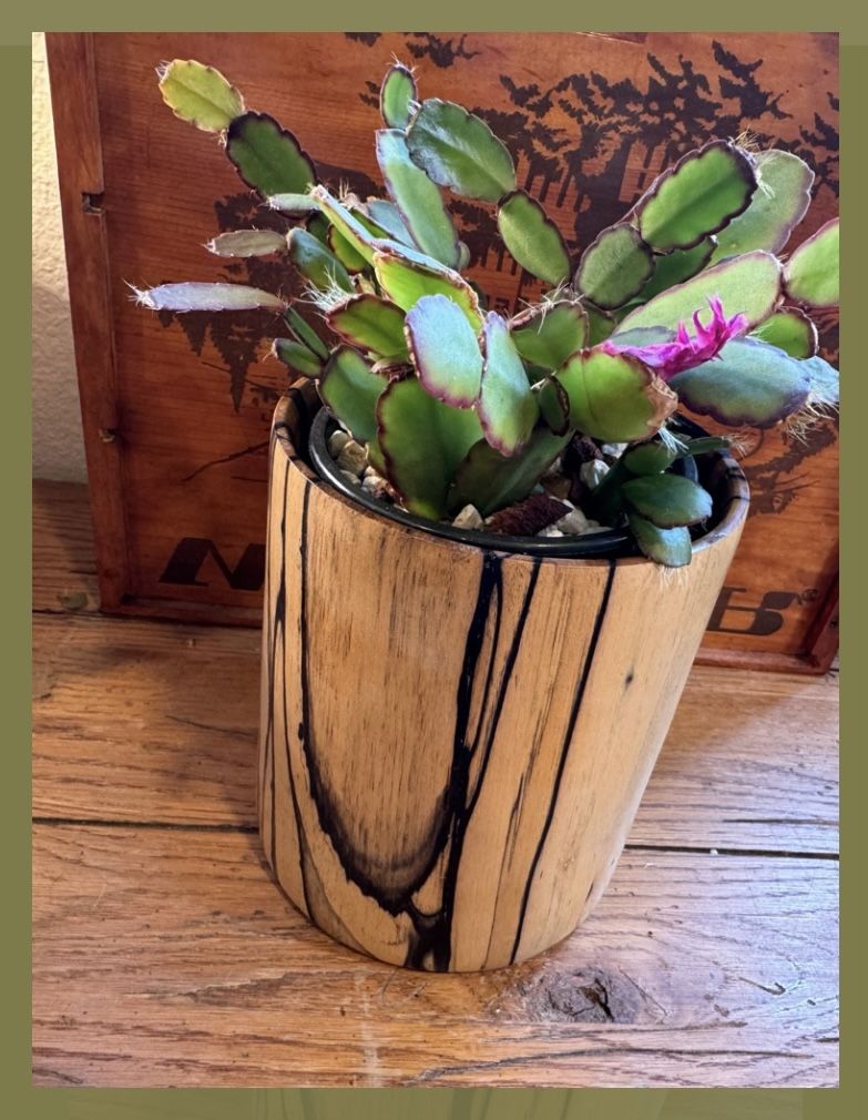 Free Shipping! Hand Turned Artisanal Wood Vase Utensil Holder Or Planter