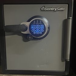 Sentrysafe 🤩