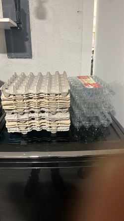 Egg  Trays 