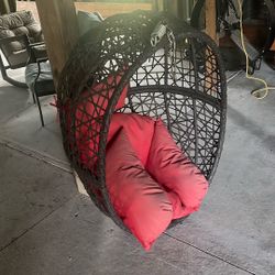 Egg Shape Tree Swing