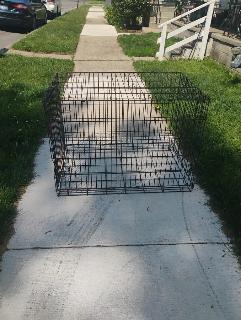 dog cage