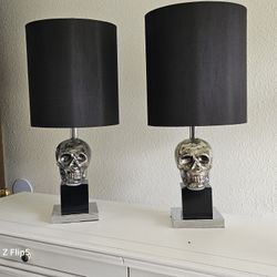 Unique & Rare Skull Lamps