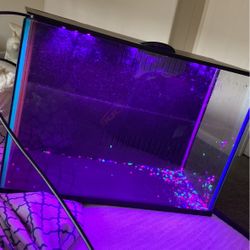 Fish Tanks