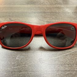 Perfect Condition Ray Band RB 2132 New Wayfarer