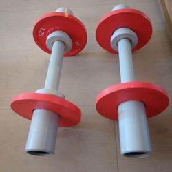 Dumbbell with 1.25 and pins